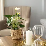 Apart-hotel Ribera 19